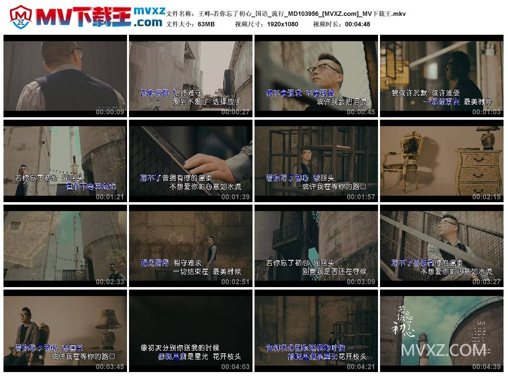 王峰-若你忘了初心_国语_流行_MD103956